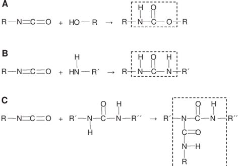 Formation Of Polyurethane Polyurea And Biuret Type Structures A An