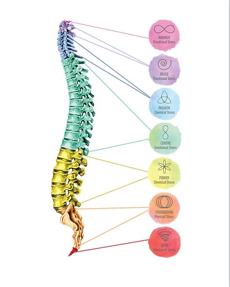 Spinal Flow Technique Realease Singapore