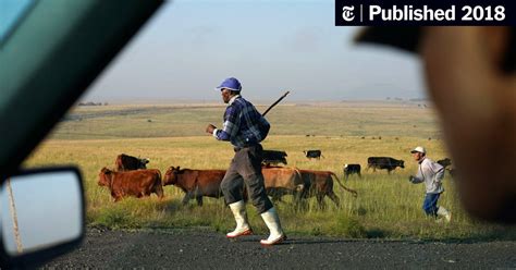 For years, ace magashule was one of south africa's most powerful politicians, a populist firebrand whose name was synonymous with the ruling african national congress. Ace Magashule Son Cars : D1k3kfny5mys9m / © provided by ...