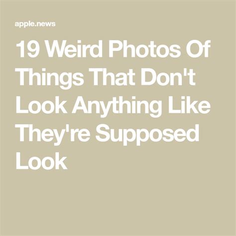 19 Weird Photos Of Things That Don T Look Anything Like They Re Supposed Look Weird Photo