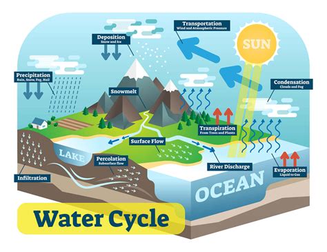 Water Cycle Resources Surfnetkids