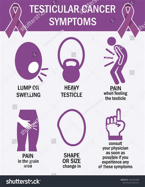 Testicular Cancer Symptoms Infographics Pictogram Icons Vector De