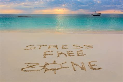 Stress Free Zone Sign Anne Mollerup Erhvervs Og Stresscoach