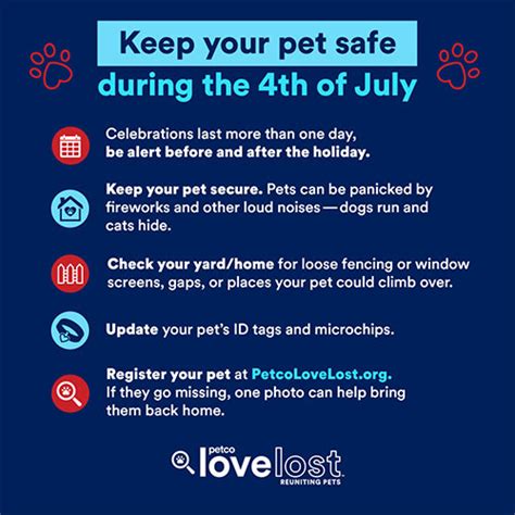 Pet Safety Tips For July 4th Festivities Lifeline Animal Project