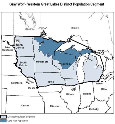 Gray Wolf Range In The Great Lakes Upper Midwest Region Wolf Range