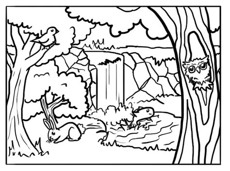 Forest Coloring Pages Best Coloring Pages For Kids Forest Coloring