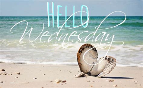 Happy Wednesday Coastal Lovers ~ Happy Day Quotes Wednesday Greetings Wednesday Humor