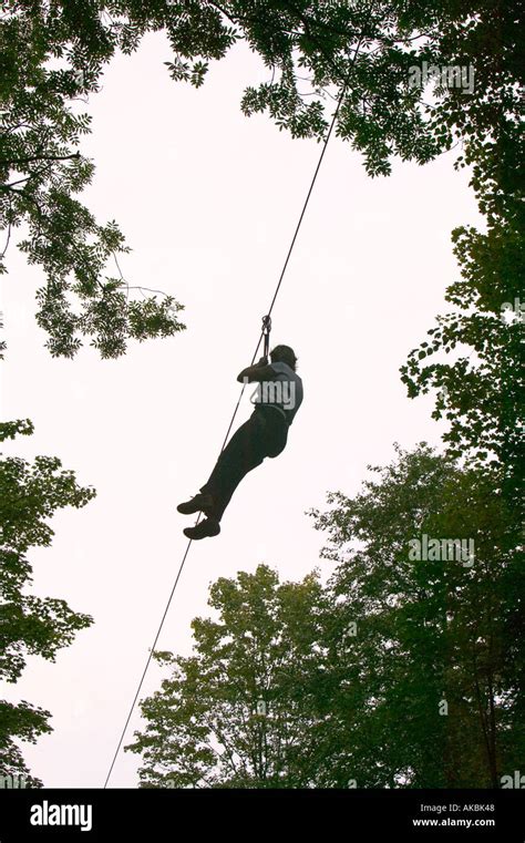 Man Sliding Down A Zip Wire At Go Ape Grizedale Forest Lake District