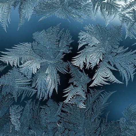 Beautiful Ice Crystals Abstract Images Poster Wall Art Crystals