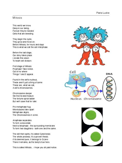 Mitosis Poem Mitosis Cell Anatomy Free 30 Day Trial