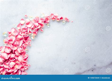 Rose Petals On Marble Stone Floral Background Stock Photo Image Of