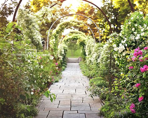 Kate Spring Secret Garden Path Backdrop Designed By Mandy Ringe Photog