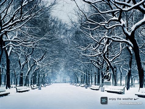 49 Bing Images Winter Wallpaper Wallpapersafari
