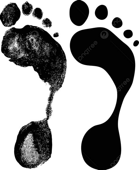 Foot Prints Toe Track Proofsheet Vector Toe Track Proofsheet Png And