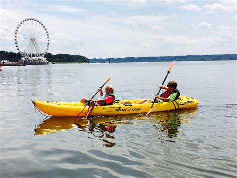 Kayaking Pedal Boats And Stand Up Paddle Boarding In Washington Dc