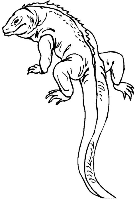 Develop you enjoy our growing collection of hd images to make use of as a background or home screen for. Free Printable Lizard Coloring Pages For Kids | Animal Place