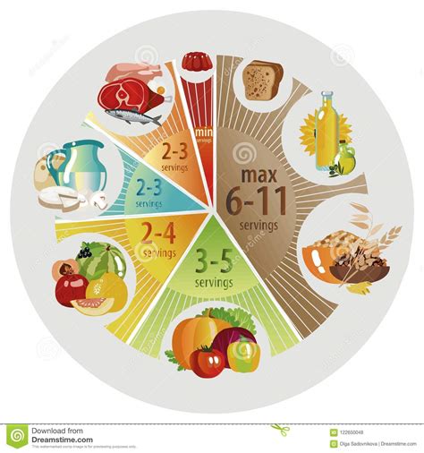 Food Pyramid Of Pie Chart Stock Vector Illustration Of Bakery 122650048