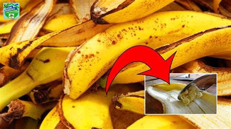 You Will Never Throw Away Banana Peels After Watching This Home Remedies Youtube