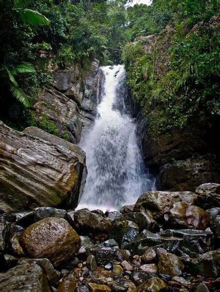 10 Things To Know Before Visiting El Yunque Rainforest