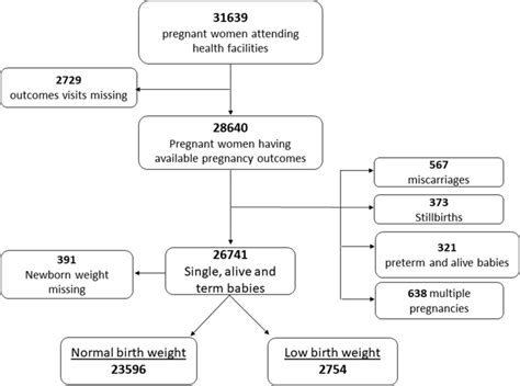 Flow Chart Of Pregnant Women And Delivery Outcomes From 2016 To 2017