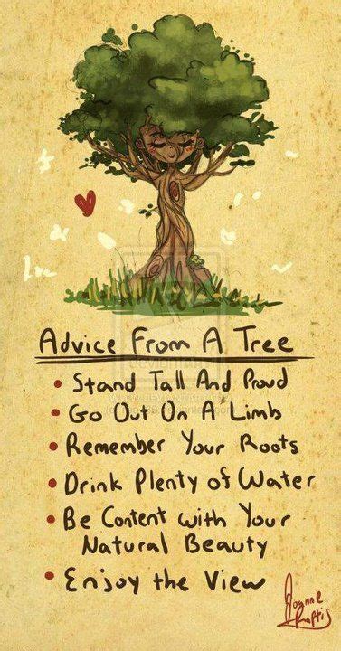 Find all the best picture quotes, sayings and quotations on picturequotes.com. Inspirational & Positive Life Quotes : advice from a tree ...