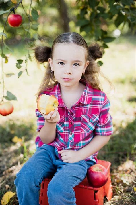 Girl With Apple In The Apple Orchard Stock Image Image Of Food