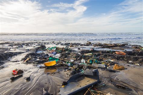 The Oceans Of Plastics Plastisphere A New Term For The Marine