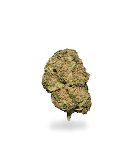 Lost Coast Ghost Aaa Imperial Bud Free Weed Delivery In Kw