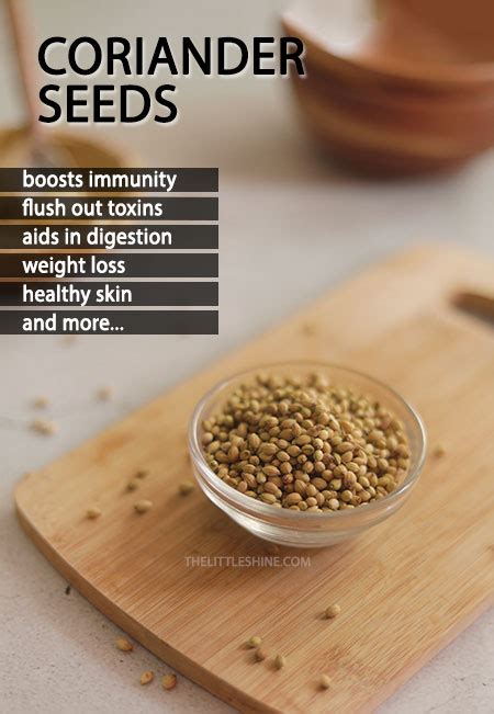 Coriander Seeds Benefits And Uses The Little Shine