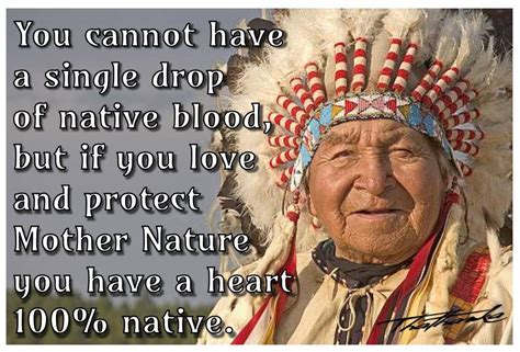 Pin On Nativepride♡chippewafrom Bois Forte Band Of Ojibwe