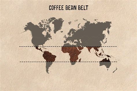 Coffee Bean Belt Definition In The Coffee Dictionary