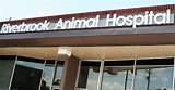 Animal Surgical Hospital Tulsa Pictures