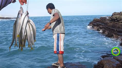 Pesca En El Mar Desde La Orilla Pesca Información