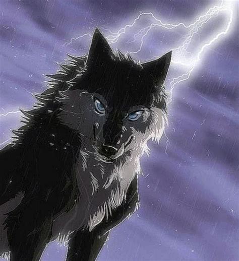 Animated Wolf Wallpapers Wolf Wallpaperspro