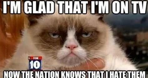 The 50 Funniest Grumpy Cat Memes Grumpy Cat Meme Grumpy Cat Quotes