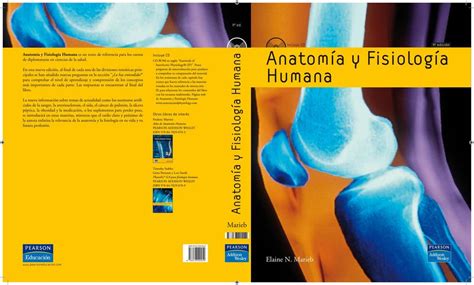Anatomia Y Fisiologia Humana Elaine N Marieb 9a Edicion Yeni Flores