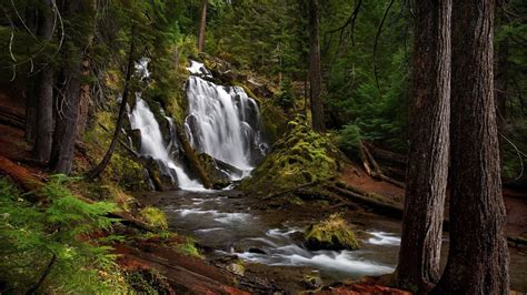 Wallpaper Waterfall Nature River Wilderness Jungle Stream