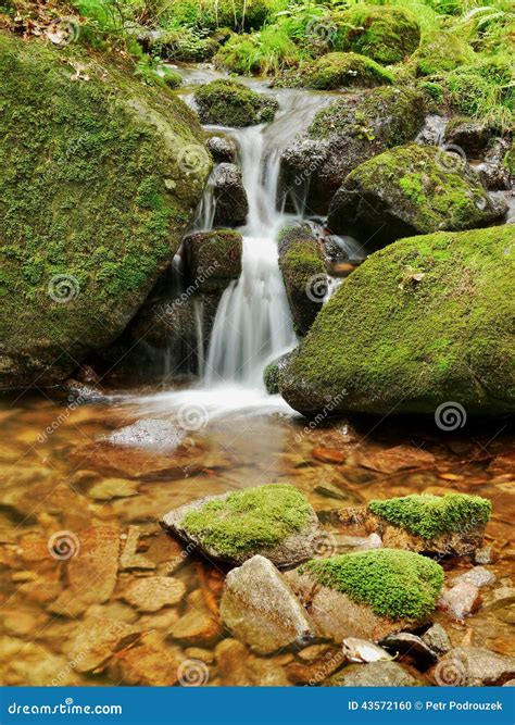 Waterfall With A Lagoon On Mountain Stream Stock Photo Image Of Fresh