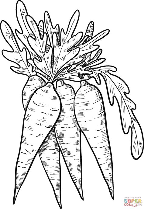 Carrots Coloring Page Free Printable Coloring Pages