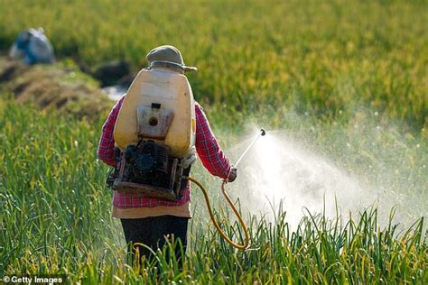 Nearly 31 Of Global Farmland Is At ‘high Risk Of Pesticide Pollution
