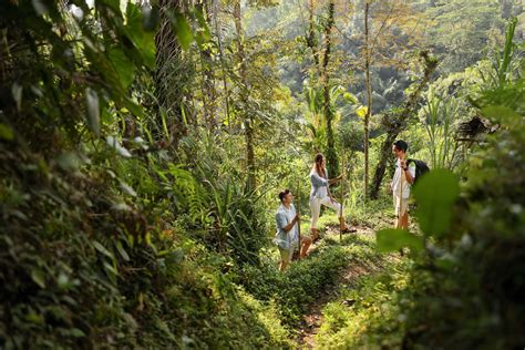Jungle Trekking - Padma Resort Ubud
