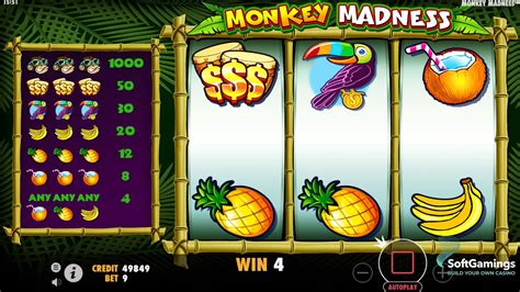 Pragmatic Play Monkey Madness Gameplay Demo Youtube