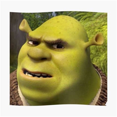 Shrek Meme Face Discover More Interesting Animation Anime Animeted