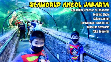 Seaworld Ancol Jakarta 2022 Tempat Wisata Edukatif Anak Youtube