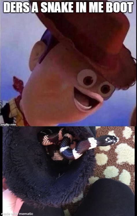 Ders A Snake In Me Boot Rmemes