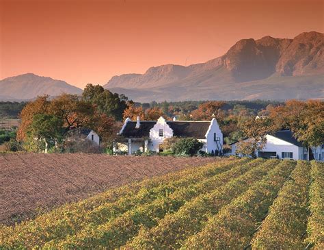 Cape Winelands African Special Tours