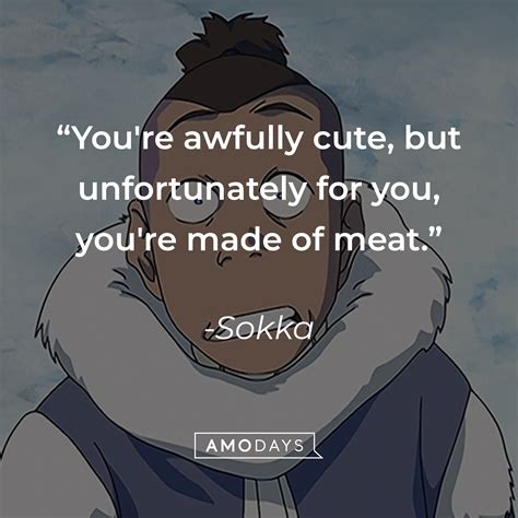 36 Sokka Quotes The Verbal And Weapon Wielding Warrior Of Avatar
