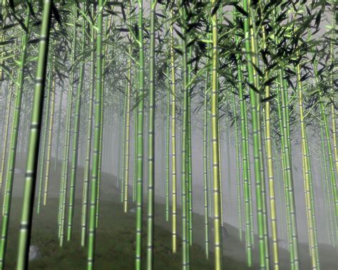 Free Download Beautiful Wallpapers For Desktop Bamboo Tree Wallpapers