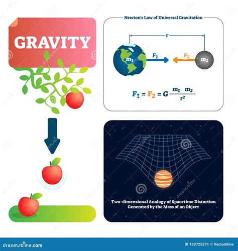 Gravity Vector Illustration Explained Natural Force To Objects With