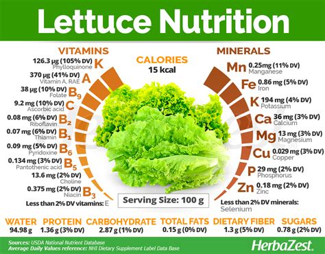 Romaine Lettuce Nutritional Value